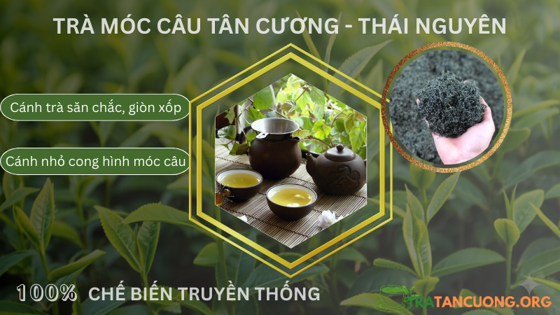 Hình ảnh cánh trà móc câu Tân Cương Thái Nguyên
