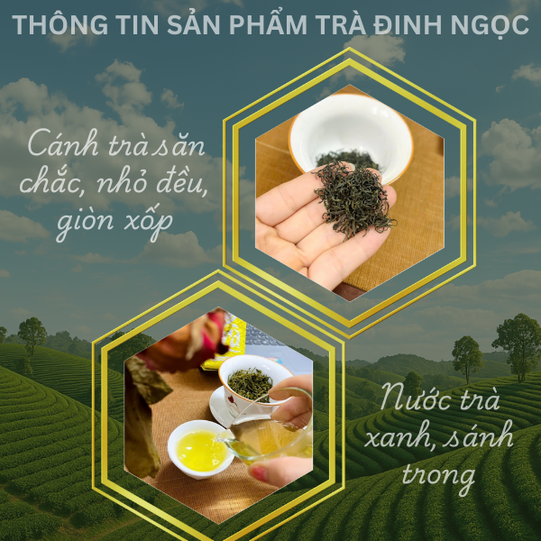 Giới thiệu về sản phẩm trà đinh ngọc thái nguyên