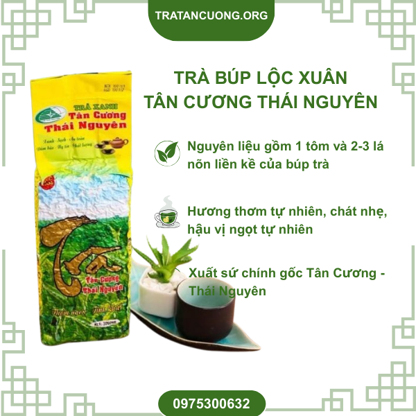 Trà Búp Lộc Xuân - Tân Cương Thái Nguyên Ngon và giá tốt