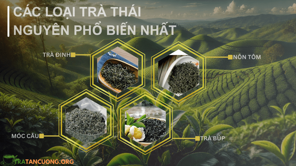Tìm hiểu các loại trà Thái Nguyên phổ biến