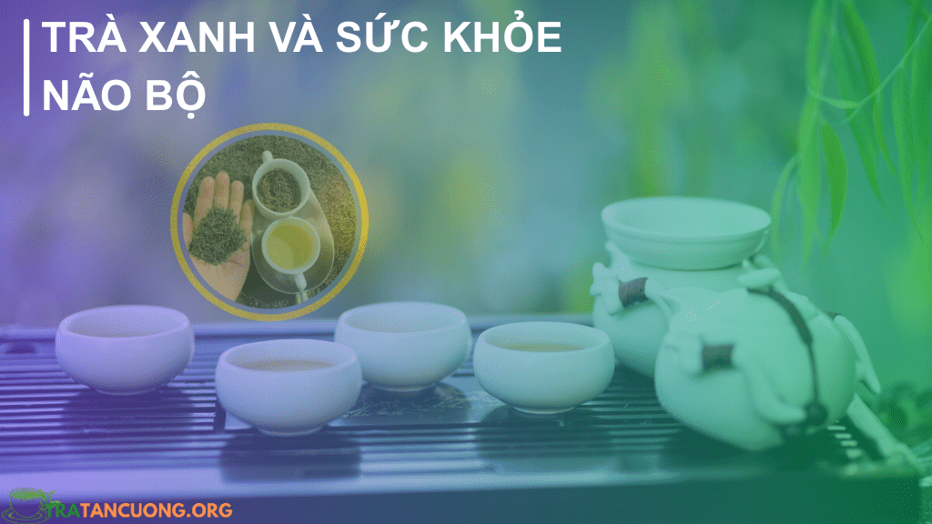 Tác dụng của trà xanh thái nguyên với não bộ