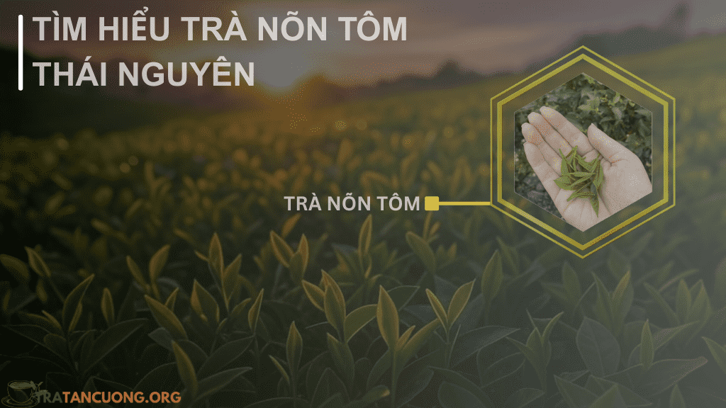 Trà Nõn Tôm là gì?
