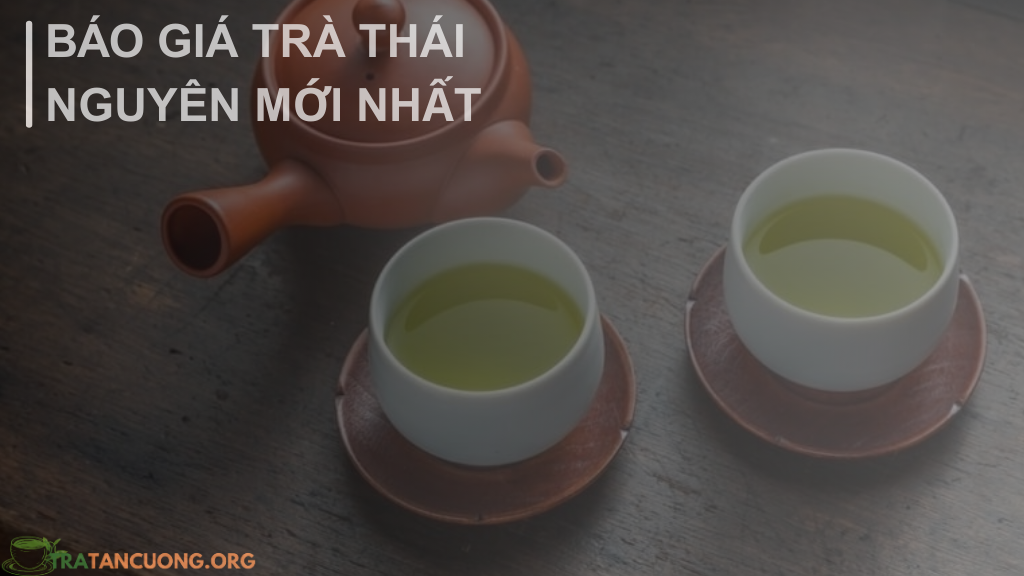 Trà Thái nguyên bao nhiêu tiền 1 Kg? Báo giá mới nhất