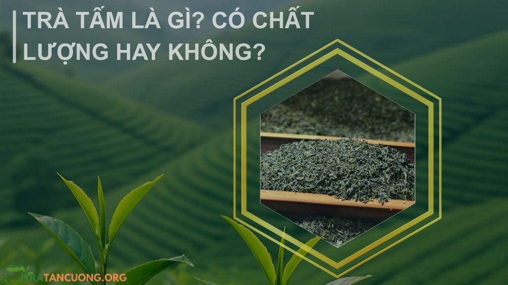 Trà Tấm Là gì?