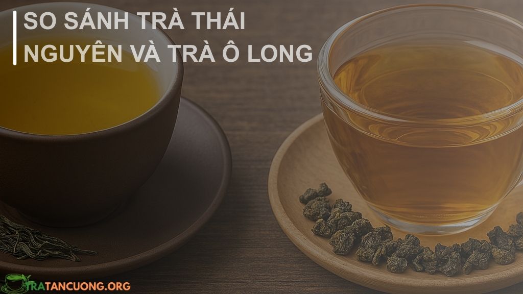 So Sánh Sự Khác biệt giữa trà thái nguyên và trà ô long