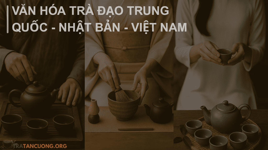 Sự khác biệt trong văn hóa trà đạo Trung Quốc, Nhật Bản và Việt Nam